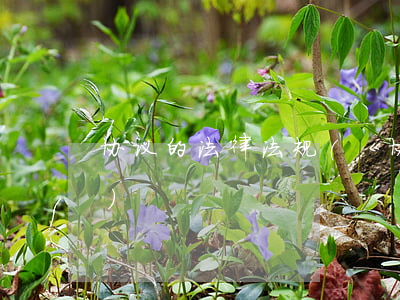协议的法律法规(《协议书》适用哪些法律)