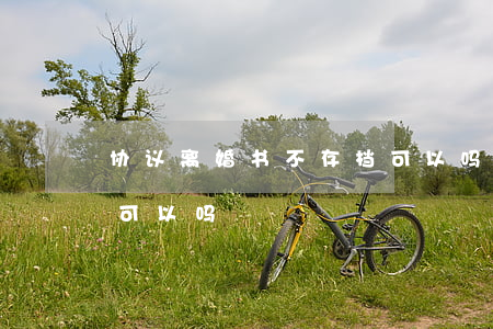 协议离婚书不存档可以吗(协议离婚书不存档可以吗)