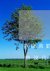 协议离婚六年后可以起诉吗(协议离婚不履行协议几年起诉有效)