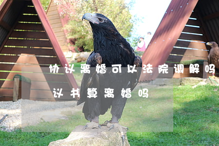 协议离婚可以法院调解吗(在法院签了调解协议书算离婚吗)
