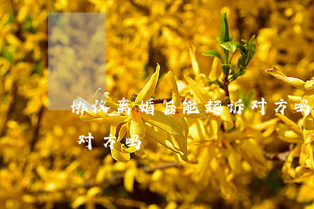 协议离婚后能起诉对方吗(协议离婚后能起诉对方吗)