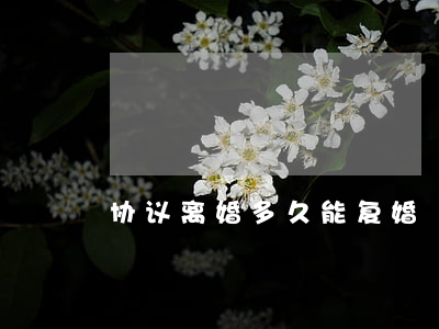 协议离婚多久能复婚