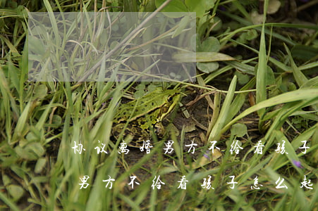 协议离婚男方不给看孩子怎么起诉(协议离婚男方不给看孩子怎么起诉)