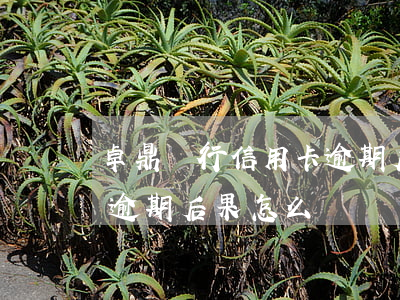 卓鼎銀行信用卡逾期后果-卓鼎銀行信用卡逾期后果怎么樣