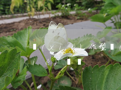 協(xié)作型聯(lián)營協(xié)議書