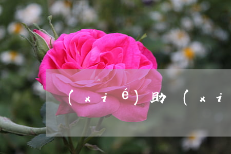 協(xié)助協(xié)商還款的渠道