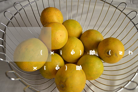協(xié)助執(zhí)行可以不協(xié)助嗎