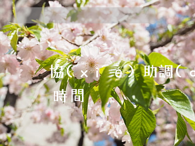 協(xié)助調(diào)查最長多長時間