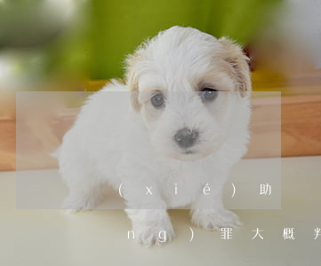 協(xié)助開設(shè)賭場(chǎng)罪大概判多少年(開設(shè)賭場(chǎng)罪嚴(yán)重情節(jié))