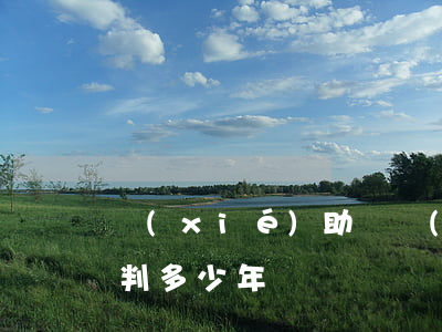 協(xié)助開設(shè)賭場罪大概判多少年