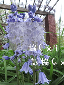 協(xié)商不了起訴怎么處理（逾期被起訴協(xié)商不了怎么辦）
