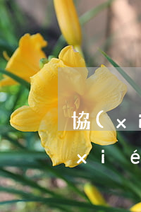 協(xié)商不成可以起訴至法院嗎(協(xié)商不成起訴流程)
