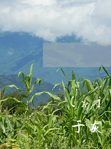 協(xié)商信用卡個(gè)性化分期屬于灰產(chǎn)嗎-協(xié)商個(gè)性化分期會(huì)上征信嗎
