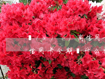 協(xié)商信用卡分期(協(xié)商信用卡分期為什么要征信報(bào)告)