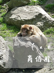 協(xié)商信用卡注銷(去協(xié)商信用卡還款時(shí)會(huì)不會(huì)報(bào)警)