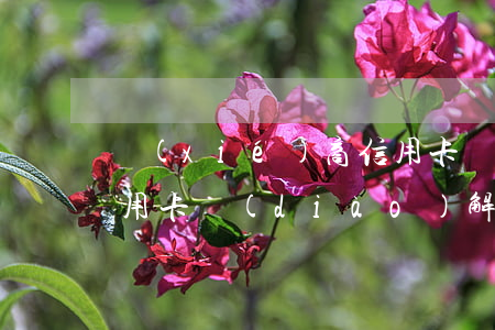 協(xié)商信用卡調(diào)賬(信用卡 調(diào)解)