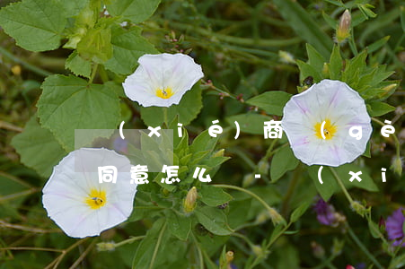 協(xié)商個(gè)性化分期一直不同意怎么辦-協(xié)商個(gè)性化分期成功后一定會(huì)簽協(xié)議嗎