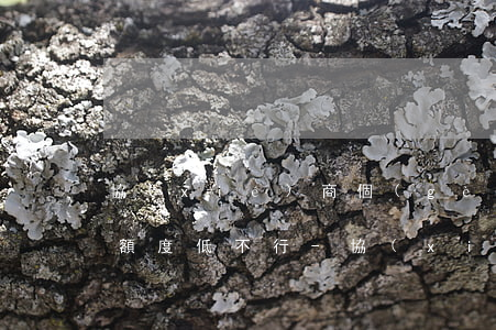 協(xié)商個(gè)性化還款銀行說額度低不行-協(xié)商個(gè)性化還款銀行說額度低不行怎么辦
