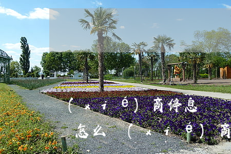 協(xié)商停息掛賬要注意什么(停息掛賬怎么協(xié)商)