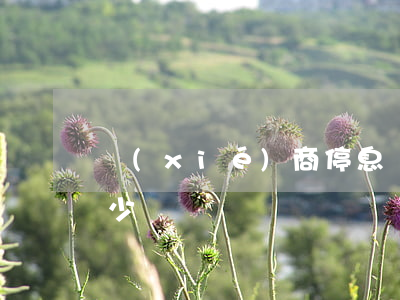 協(xié)商停息掛賬費(fèi)用多少