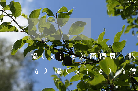 協(xié)商停息掛賬額度和期數(shù)(協(xié)商停息掛賬額度和期數(shù))