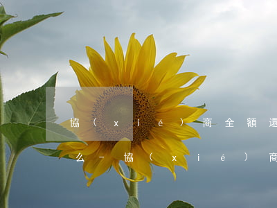協(xié)商全額還款的時候應該注意什么-協(xié)商全額還款的時候應該注意什么問題