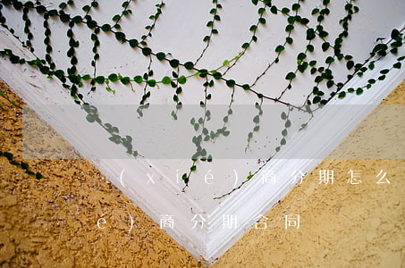 協(xié)商分期怎么說（信用卡協(xié)商分期合同）
