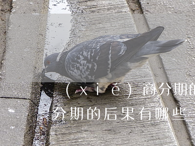 協(xié)商分期的后果(協(xié)商分期的后果有哪些)