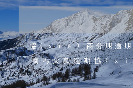 協(xié)商分期逾期還能協(xié)商嗎（欠款逾期協(xié)商分期服務(wù)）