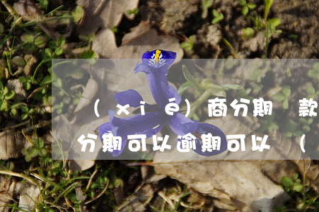 協(xié)商分期還款以后逾期會怎樣（好分期可以逾期可以協(xié)商還款嗎）