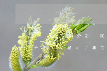協(xié)商分期還款后又逾期了怎么辦(來分期欠款逾期了和他們協(xié)商不了怎么辦)