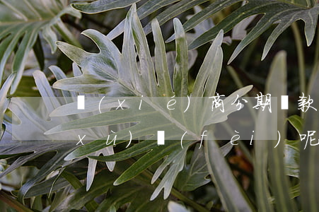 協(xié)商分期還款后還有分期手續(xù)費(fèi)呢-協(xié)商分期還款后還有分期手續(xù)費(fèi)呢怎么辦