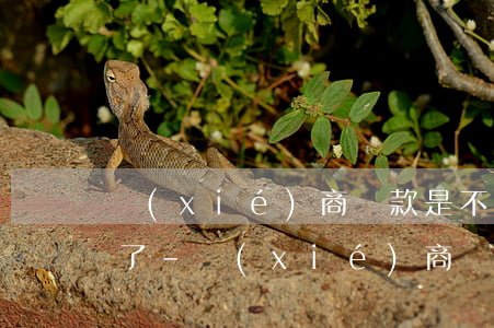 協(xié)商劃款是不是把還款金額修改了-協(xié)商劃款是不是把還款金額修改了呢