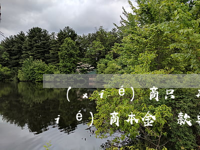 協(xié)商只還本金會怎么樣-協(xié)商本金還款要一下子結(jié)清嗎