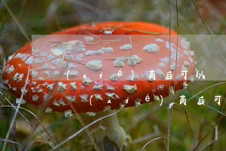 協(xié)商后可以開(kāi)信用卡嗎(協(xié)商后可以開(kāi)信用卡嗎)