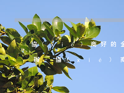 協(xié)商好的金額還款不能銷賬怎么辦-協(xié)商好的金額還款不能銷賬怎么辦呢