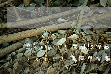 協(xié)商掛賬停息可以起訴嗎(銀行協(xié)商停息掛賬)