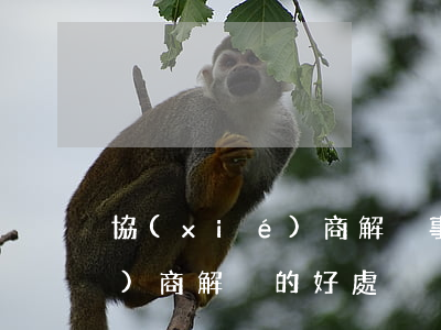 協(xié)商解決事情的范文（協(xié)商解決的好處）