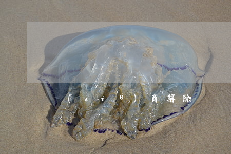 協(xié)商解除勞動合同10個要點