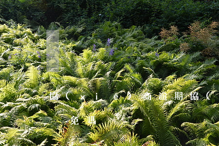 協(xié)商逾期協(xié)商還款能減免嗎