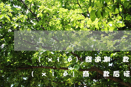 協(xié)商逾期還款后還會上征信嗎(協(xié)商還款后征信會受影響嗎)