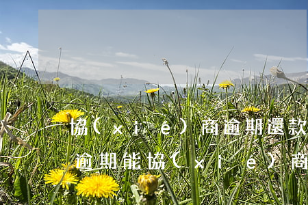 協(xié)商逾期還款需要什么條件(貸款逾期能協(xié)商還款嗎)