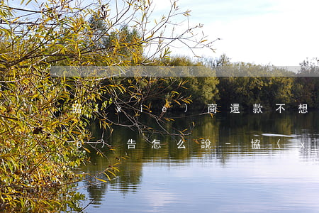 協(xié)商還款不想提供征信報(bào)告怎么說-協(xié)商還款不想提供征信報(bào)告怎么說呢