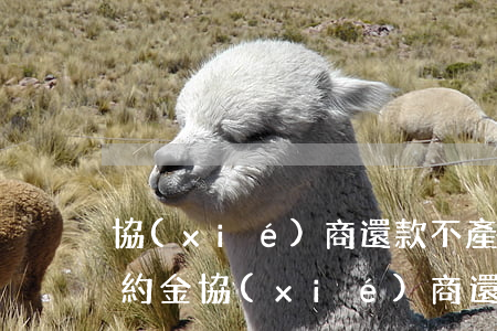協(xié)商還款不產(chǎn)生違約金(協(xié)商還款不產(chǎn)生違約金怎么辦)