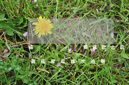 協(xié)商還款之后逾期(協(xié)商還款后再次逾期)