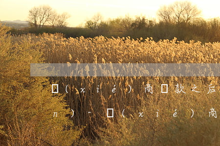 協(xié)商還款之后銀行不承認(rèn)-協(xié)商還款之后銀行不承認(rèn)怎么辦