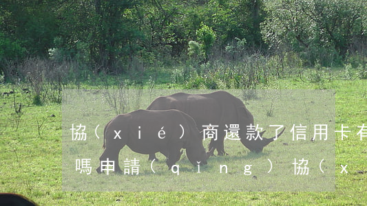 協(xié)商還款了信用卡有額度可以用嗎 申請(qǐng)協(xié)商還款后對(duì)信用記錄有什么影響