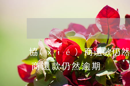 協(xié)商還款仍然逾期(協(xié)商還款仍然逾期)