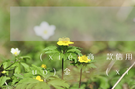 協(xié)商還款信用卡成功后,記錯(cuò)金額-協(xié)商還款信用卡成功后,記錯(cuò)金額怎么辦