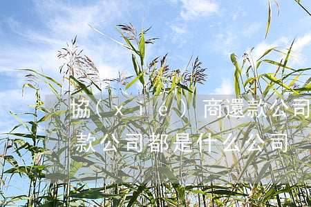 協(xié)商還款公司(協(xié)商還款公司都是什么公司)